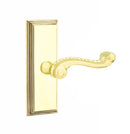 Emtek Rope Lever with 7” Wilshire Sideplate