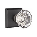 Emtek Glass Astoria Knob Concealed Screws with