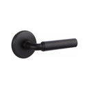 Emtek Manning Lever Concealed Screws with Watford Rosette