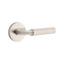 Emtek Select R-BAR Faceted Lever Concealed Screws with Disk Rosette
