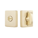 Emtek Modern Thumbturn Privacy Bolt