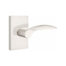 Emtek Mercury Lever with Modern Rectangular Rosette Concealed Screws