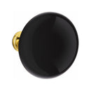 Emtek F20 Function Brisbane Mortise Handleset with Ebony Knob