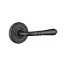 Emtek Turino Lever Concealed Screws with Regular Rosette