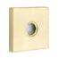 Emtek Modern Brass Double Hook with Brass Square Rosette